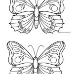 Coloriage Papillons Nice Coloriage Papillon Par Pasca Fichier Pdf