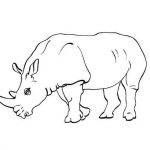 Coloriage Rhinoceros Génial Evo Magz V4 7