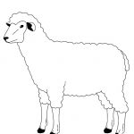 Mouton Coloriage Meilleur De Coloriage Mouton à Imprimer Gratuitement