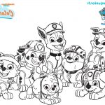 Paw Patrol Coloriage Luxe Coloriage Paw Patrol
