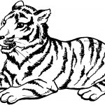 Tigre Coloriage Inspiration 72 Dessins De Coloriage Tigre à Imprimer Sur Laguerche