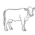 Vache Coloriage Nice Coloriage Vache 2 Coloriage Vaches Coloriages Animaux