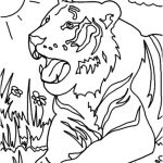 Coloriage Animaux Savane Inspiration Beaux Dessin A Colorier Tigre