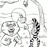 Coloriage Animaux Savane Inspiration Savanna Coloring Pages Coloring Home