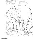 Coloriage Animaux Savane Meilleur De Coloriage Elephant Savane Jecolorie