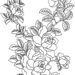 Coloriage Bouquet De Fleurs Frais Bouquet De Fleurs Nature – Coloriages à Imprimer