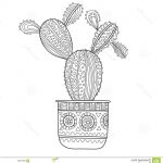 Coloriage Cactus Nouveau Cactus Succulent Illustration Noire Et Blanche Pour