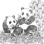 Coloriage Difficile Animaux Nice Coloriage De Animaux Panda à Imprimer Par Chocobo