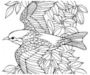 Coloriage Hirondelle Unique Coloriage Oiseau Gratuit à Imprimer