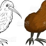Coloriage Kiwi Nice Doodle Animal Pour Oiseau Kiwi Vecteurs Libres De Droits