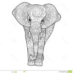 Coloriage Mandala Elephant Frais Livre De Coloriage D éléphant Pour Le Vecteur D Adultes
