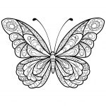 Coloriage Mandala Papillon Nice Papillon Jolis Motifs 5 Papillons & Insectes
