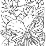 Coloriage Mandala Papillon Unique Dessin Mandala Papillon Imprimer