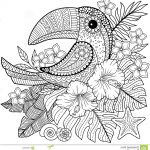 Coloriage Pdf Luxe Coloring Book For Adults Toucan Among Tropical Leaves And