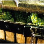 Comment Faire Du Vin Inspiration Ment Faire Du Vin Elaboration Maison De Vin Blanc