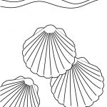 Coquillage Coloriage Frais Coloriage Coquillage