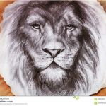 Dessin Tete De Lion Nouveau Dessin D Une Tête De Lion Avec A Majestueux Illustration