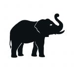Dessiner Un Éléphant Meilleur De Dessiner Un Elephant A Avis Dessin Noir Et Blanc Consulter