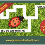 Jeux En Ligne Gratuit Pour Fille Élégant Jeux De Labyrinthe En Ligne Pour Fille La Coccinelle Dans