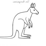 Kangourou Coloriage Élégant Coloriage à Imprimer Un Kangourou