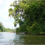 La Foret Amazonienne Luxe L Incroyable Recul De La Forêt Tropicale Ienne