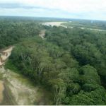 La Foret Amazonienne Nice Pour Préserver La Forêt Ienne Le Brésil S Engage