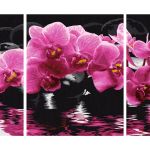 Peinture Par Numéro Adulte Frais Schipper Peinture Aux Numeros Orchidees Cadre 50 80