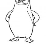 Pingouin Coloriage Meilleur De Dessin Les Pingouins De Madagascar