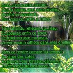 Poésie Sur La Nature Inspiration Petit Poeme Sur La Nature Blog De La Vie De La Nature