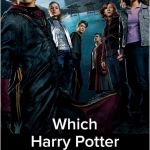 Quizz Harry Potter Film Frais Quiz Which Harry Potter Character Are You