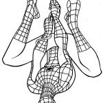 Spider Man Coloriage Nice Spiderman Drawing For Kids At Getdrawings