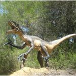 Vidéos De Dinosaures Unique Musee Parc Des Dinosaures Meze 2018 Ce Qu Il Faut