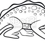Caméléon Coloriage Luxe Coloring Pages Wild Animals Little Cute Chameleon Stock