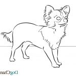 Coloriage Chihuahua Unique Pound Puppies Coloring Pages Coloring Home