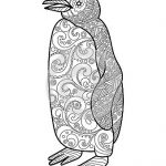 Coloriage De Pingouin Nice Livre De Coloriage De Pingouin Pour Le Vecteur D Adultes