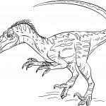 Coloriage Dinosaure A Imprimer Inspiration Coloriage Dinosaure Velociraptor à Imprimer Sur Coloriages