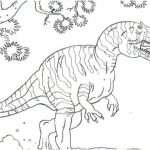 Coloriage Dinosaure Carnivore Frais Coloriage Dinosaure Tyrannosaure Coloring Page Dinosaurs 2