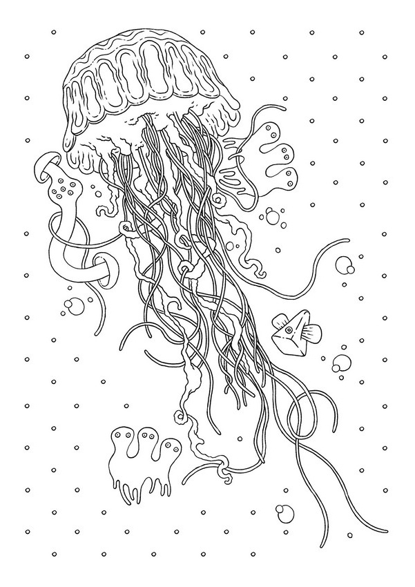 Coloriage Meduse Génial Adult Coloring Page Animals Jellyfish 1 Jeffersonclan