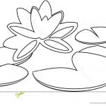 Coloriage Nénuphar Nice Coloring With Water Lily Stock Vector Illustration Of