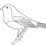 Coloriage Oiseau Facile Meilleur De Dessin D Oiseaux à Imprimer Recherche Google