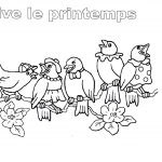 Coloriage Oiseaux Printemps Luxe Coloriage Maternelle Printemps Bestof S Coloriage