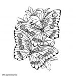 Coloriage Papillon Fleur Luxe Coloriage Papillon 190 Dessin