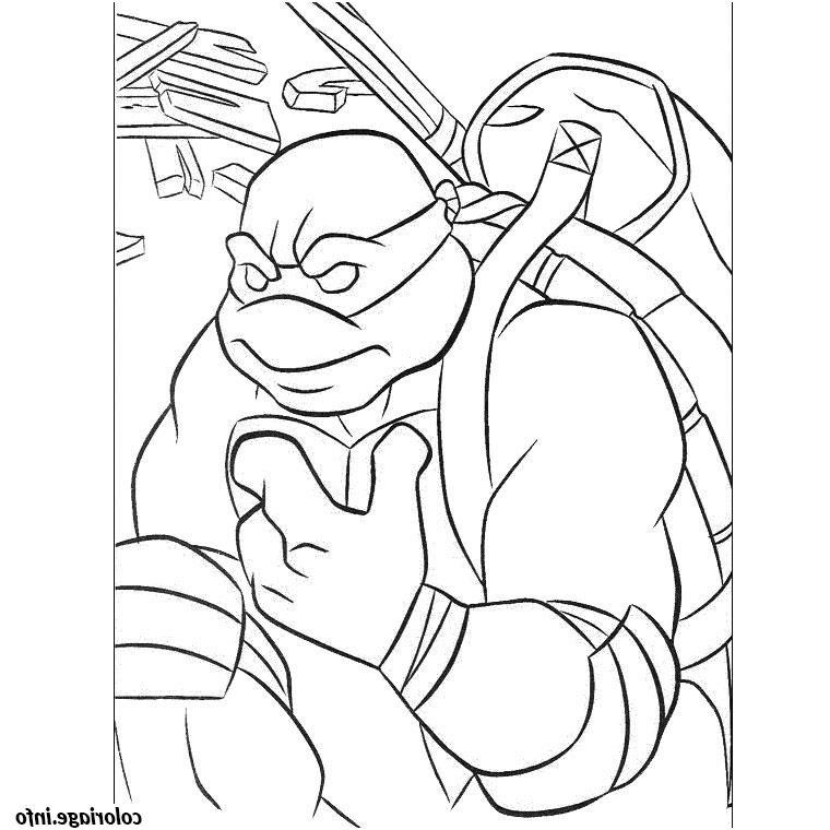 Coloriage tortues Ninja Meilleur De Coloriage tortue Ninja 33 Dessin