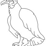 Coloriage Vautour Frais Get Well Soon Coloring Pages Sketch Coloring Page