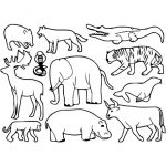 Animaux Coloriage Nice Coloriage Animaux Domestiques