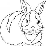 Animaux Coloriage Nice Coloriage D Animaux