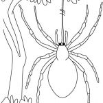 Araignée Coloriage Nouveau Araignée 41 Animaux – Coloriages à Imprimer