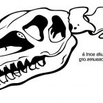 Bébé Dinosaure Coloriage Élégant Coloriage De Squelette De Dinosaure Encyclopé Des