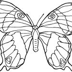 Coloriage À Imprimer Papillon Frais 119 Dessins De Coloriage Papillon à Imprimer