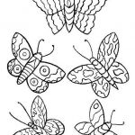 Coloriage À Imprimer Papillon Unique Coloriage Papillons Stylisés Dessin Gratuit à Imprimer